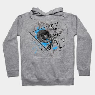 Triangle of life Hoodie